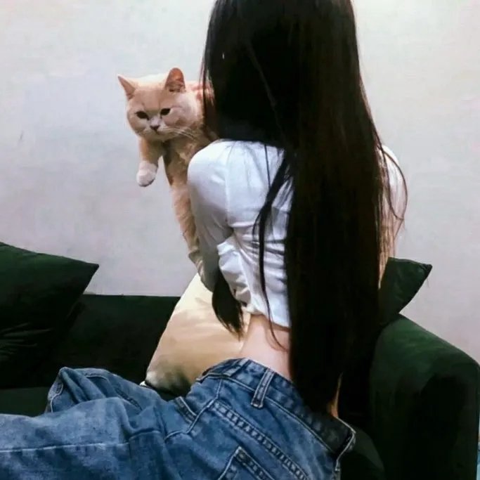 捕蝇纸